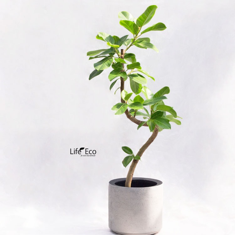 植木鉢 軽量大型 FRP製 ソルナ シリンダー ホワイト（白） / φ33cm×H30cm（11号）【送料E】