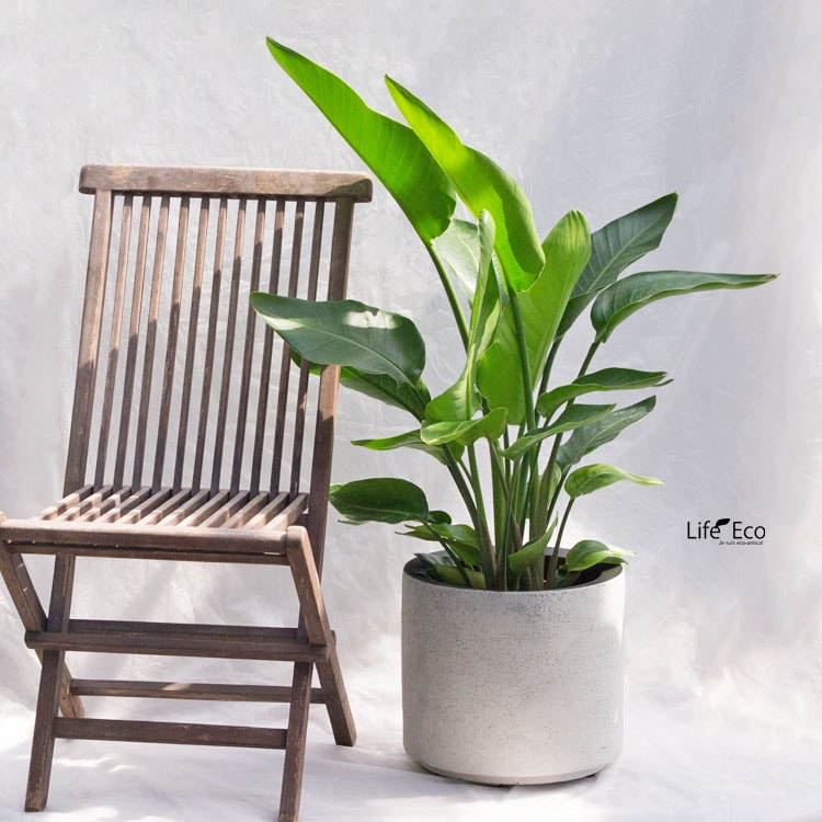 植木鉢 軽量大型 FRP製 ソルナ シリンダー ホワイト（白） / φ33cm×H30cm（11号）【送料E】