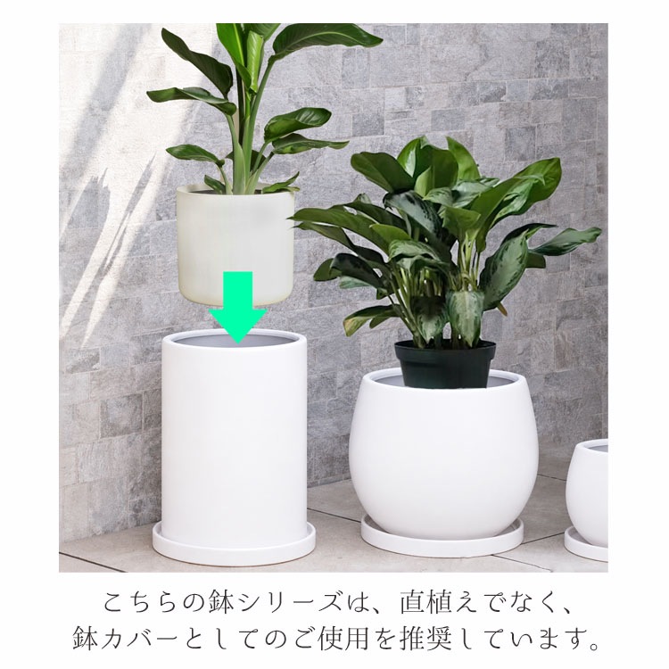 植木鉢【数量限定】釉薬陶器製インテリアポット COCOムーンL マットホワイト（白・艶無し）φ28cm×H24cm（9号・9寸）【送料D】