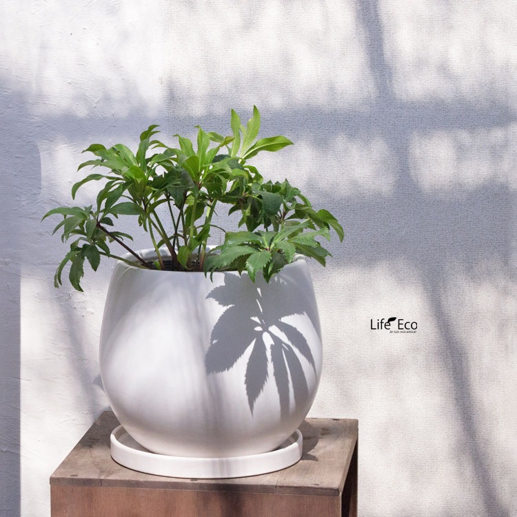 植木鉢【数量限定】釉薬陶器製インテリアポット COCOムーンL マットホワイト（白・艶無し）φ28cm×H24cm（9号・9寸）【送料D】