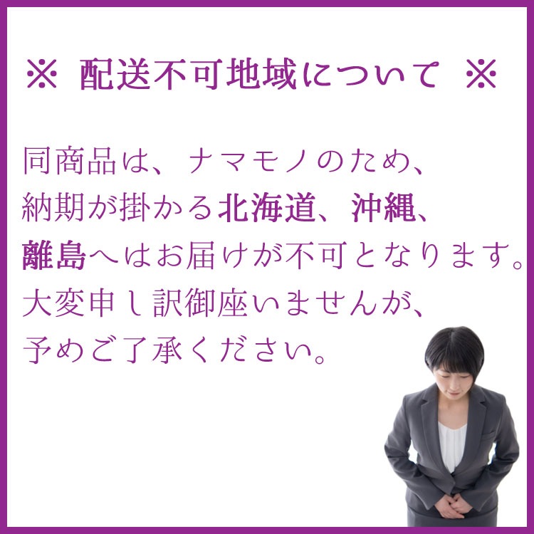 観葉植物【数量限定】シェフレラ・バッサイア（ブラッサイア / アクティノフィラ） / 6寸・約W40cm×H105cm【送料F】