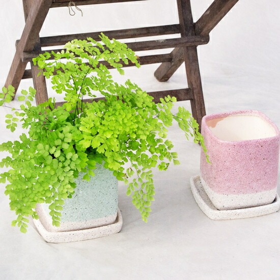 植木鉢 釉薬陶器製 インテリアポット キューブ ピンク（桃色
