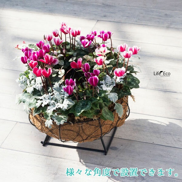 リングバスケット（リースリング）用設置台 アイアン製 マルチベースピラミッド L20cmxW14cmxH25cm【送料B】