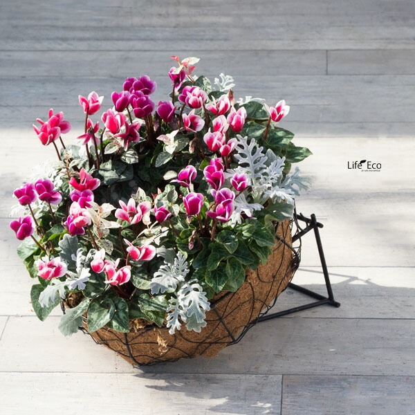 リングバスケット（リースリング）用設置台 アイアン製 マルチベースピラミッド L20cmxW14cmxH25cm【送料B】