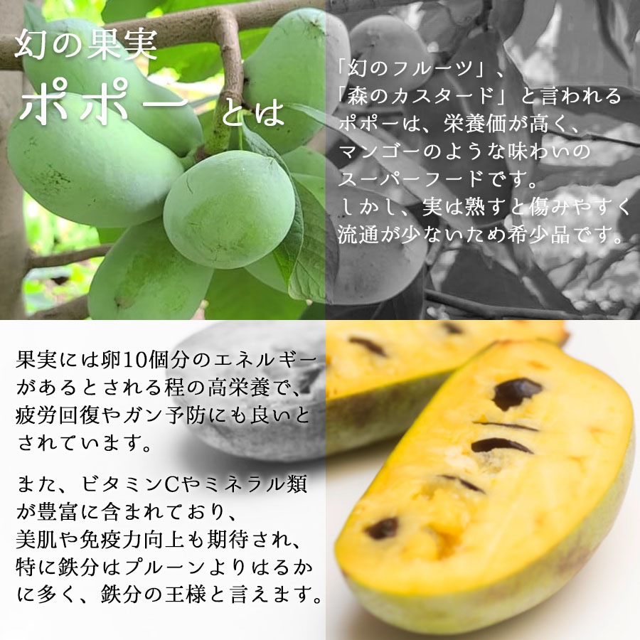 オーガニック栽培でつくった【幻の果実】ポポーの飲むお酢 200ml（無香料・無着色・保存料不使用）【送料無料】