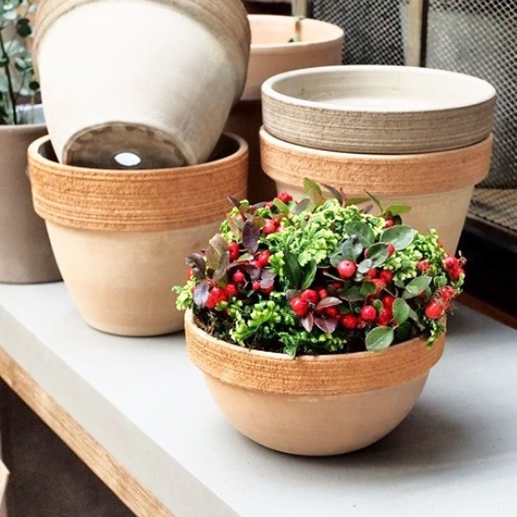 植木鉢 イタリア製 素焼き鉢 テラコッタ ジオボール スクラッチM 20cm（7号）【3個入】【送料E】