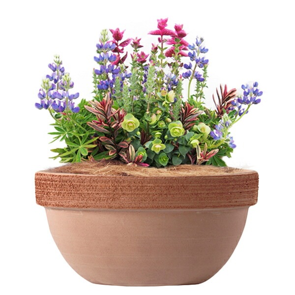 植木鉢 イタリア製 素焼き鉢 テラコッタ ジオボール スクラッチM 20cm（7号）【3個入】【送料E】