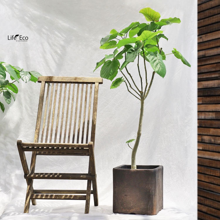 植木鉢 テラコッタ製 ハウズ（HOUZ） スクエアー（キューブ） アンティークアンバー（ダークベージュ） / □28cm×H28cm（9号）【送料E】
