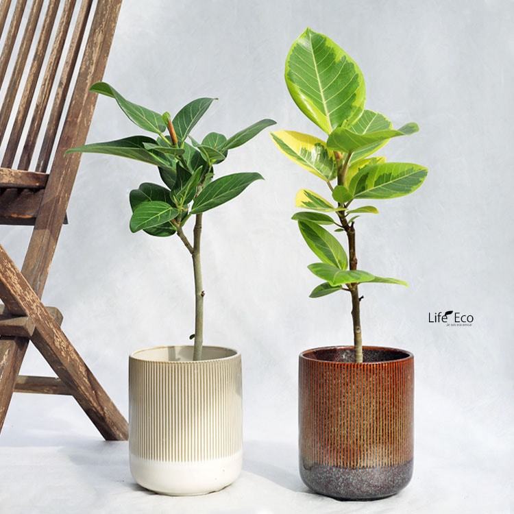 GEORG JENSEN BLOOM BOTANICA FLOWER POT / ジョージ ジェンセン ブルーム ボタニカ フラワーポット S -  インテリア・家具通販【FLYMEe】 花・観葉植物用ポット ジルダ 15 アンティークブラウン ceramic （1個入り） 94009 お盆タイプ （代引き不可） 大型