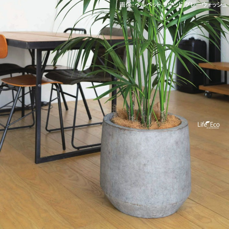 植木鉢 大型 ファイバーセメント製 ベルベット Uポット グレーウォッシュ / φ33cm×H31cm（11号）【送料E】
