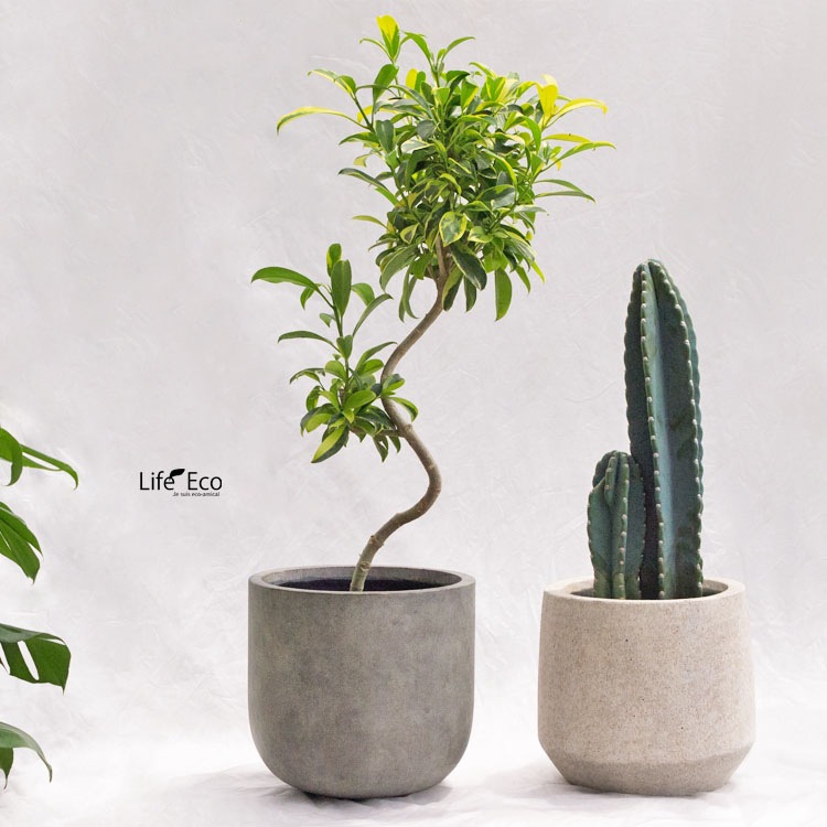 植木鉢 大型 ファイバーセメント製 ベルベット Uポット グレーウォッシュ / φ33cm×H31cm（11号）【送料E】
