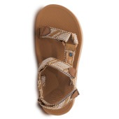 Cloud9 Sport WMS - Camel　 アウトレット対象商品