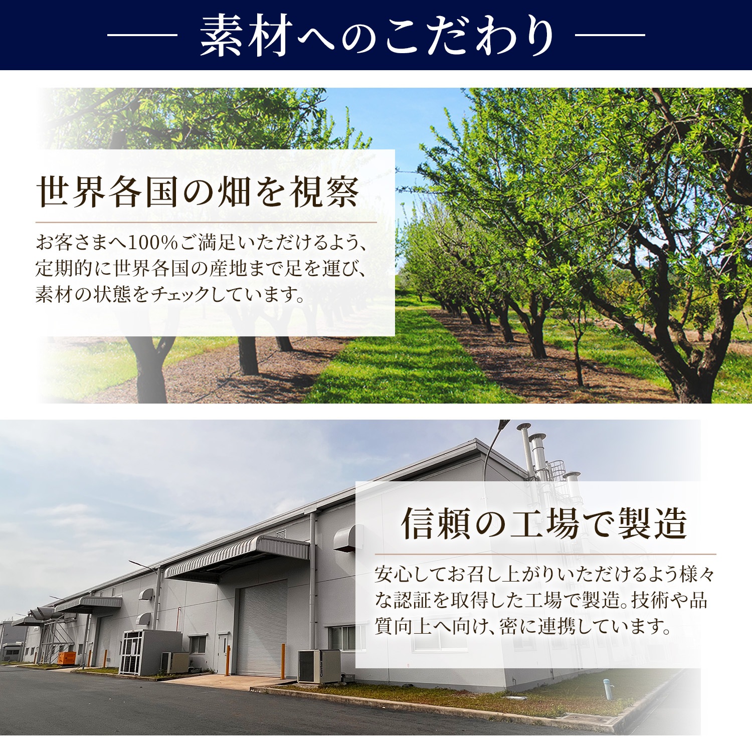 ＜まとめ買い対象＞ローストアーモンド 塩味 【アメリカ産 ノンパレル種】500g ※送料無料