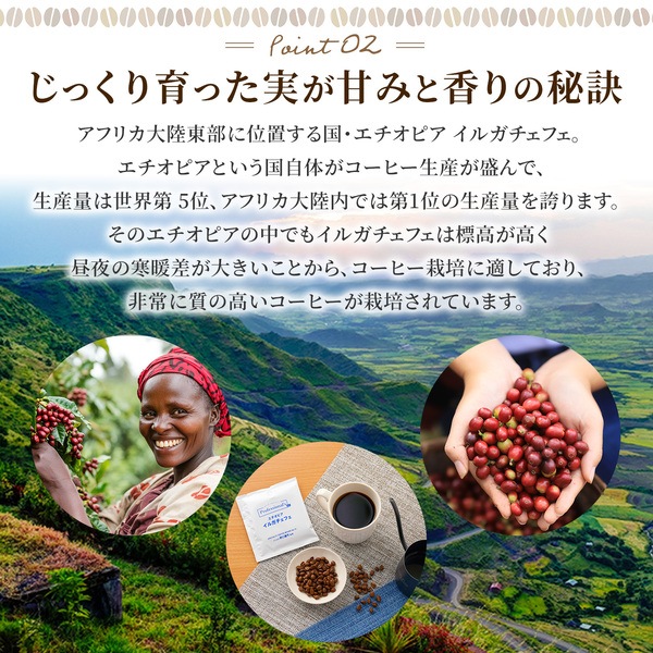 エチオピア イルガチェフェ 12g包装×12袋セット 【コーヒーのプロが豆と焙煎にトコトンこだわったドリップバッグ】