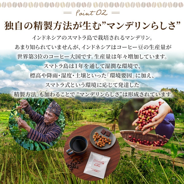 インドネシア マンデリン 12g包装×12袋セット 【コーヒーのプロが豆と焙煎にトコトンこだわったドリップバッグ】