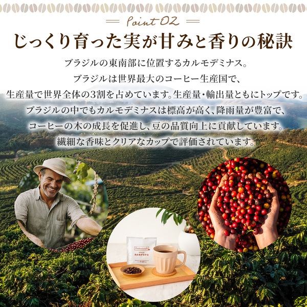 エチオピア(浅煎り) ブラジル(中深煎り) インドネシア(深煎り)コーヒードリップバッグ アソートセット 各4袋 計12袋 【コーヒーのプロが豆と焙煎にトコトンこだわったドリップバッグ】