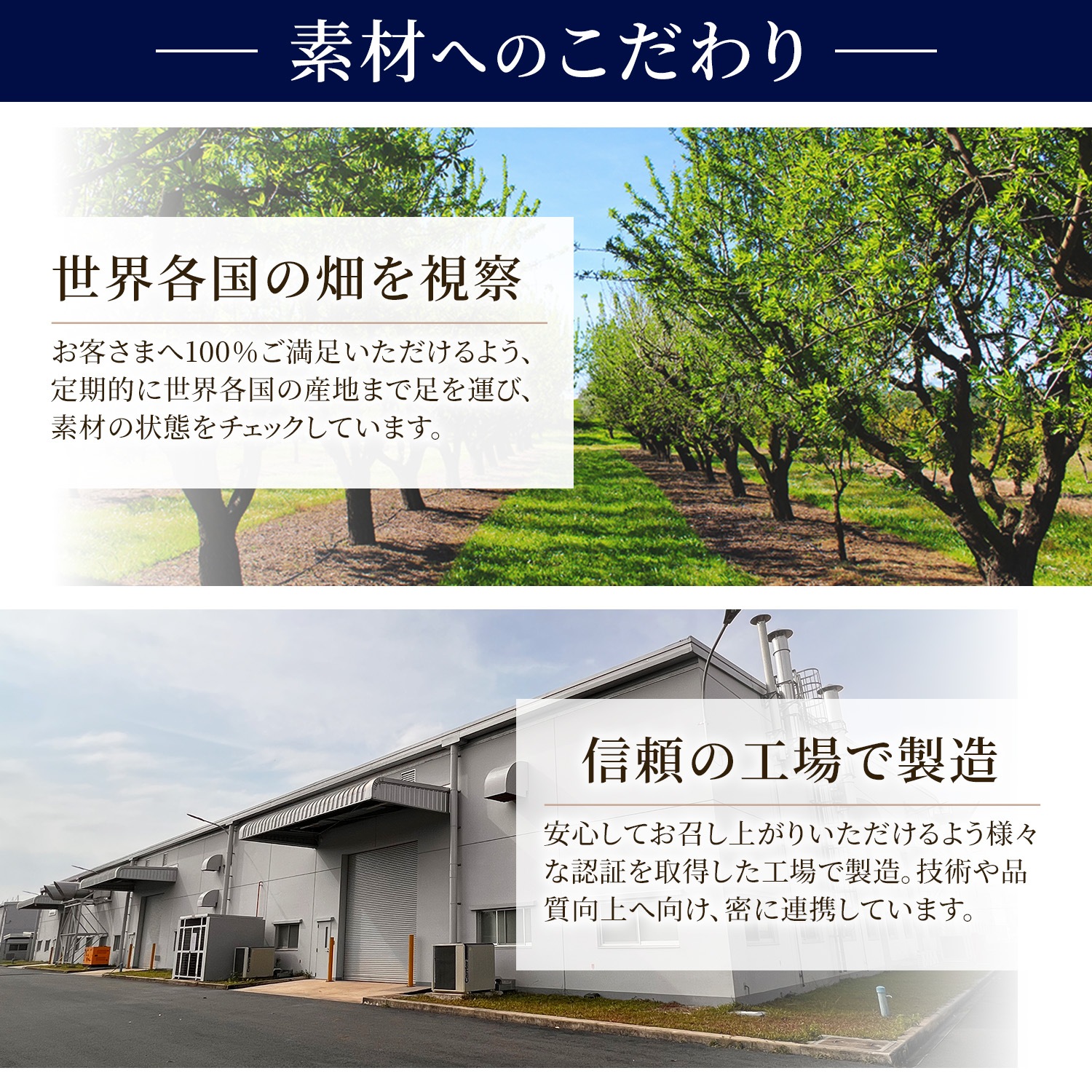 アーモンドペースト　【100g】