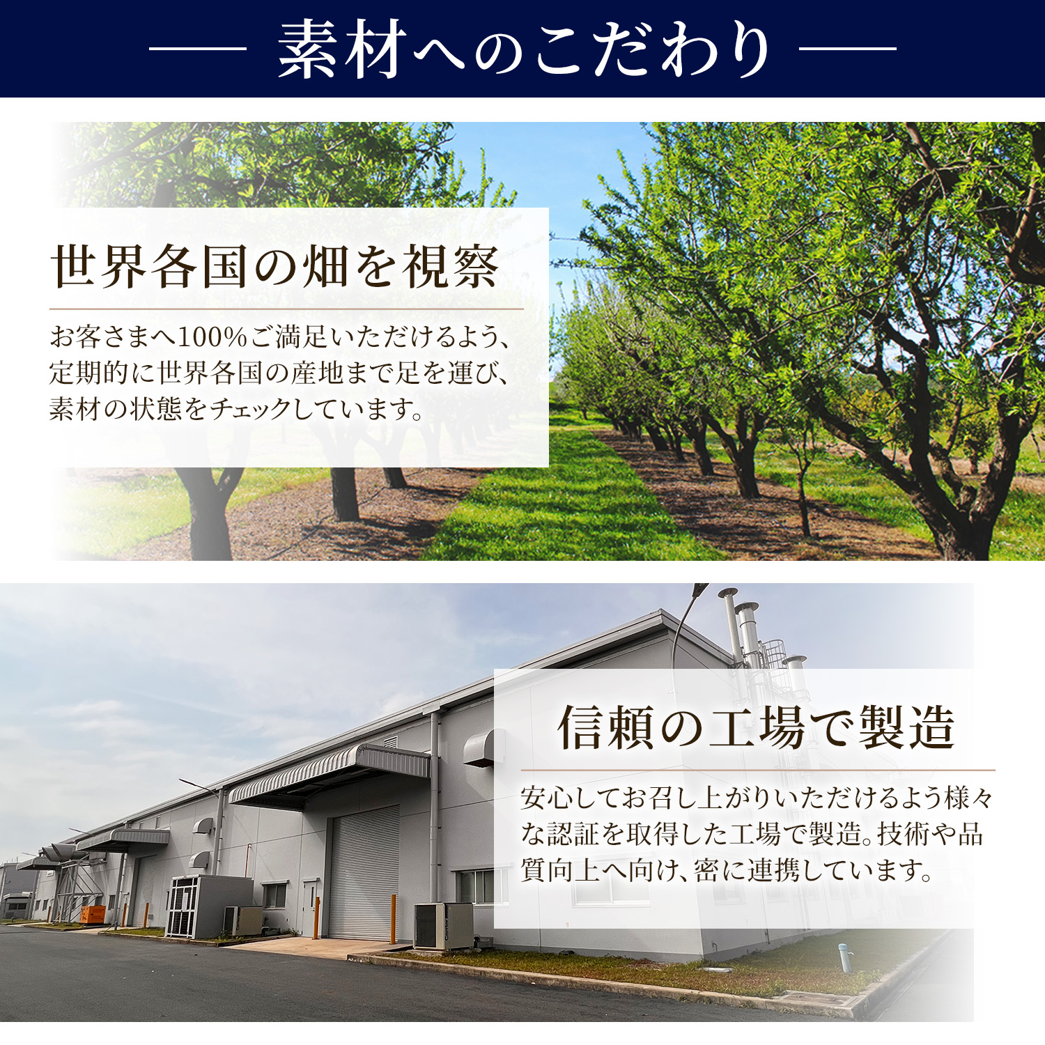 【クイーンピスタチオ】イタリアンソルト&レモン 80g×3 ※3袋で1,066円お得