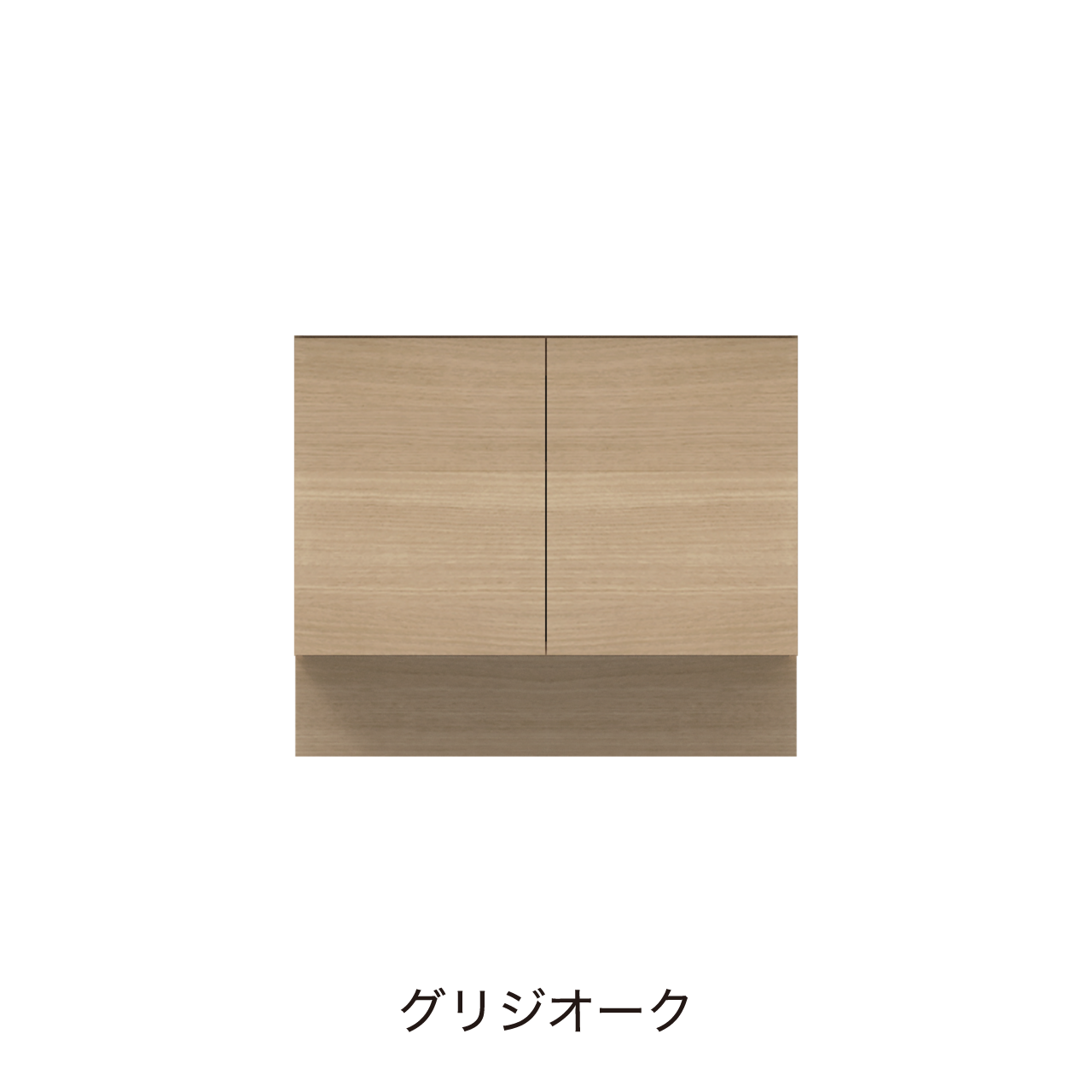 フロアタイプキャビネット 扉収納 洗面ボウルあり ボウル中央 幅100cm 奥行55cm カウンター高さ85cm 洗面台 洗面所収納 MA-QA1002
