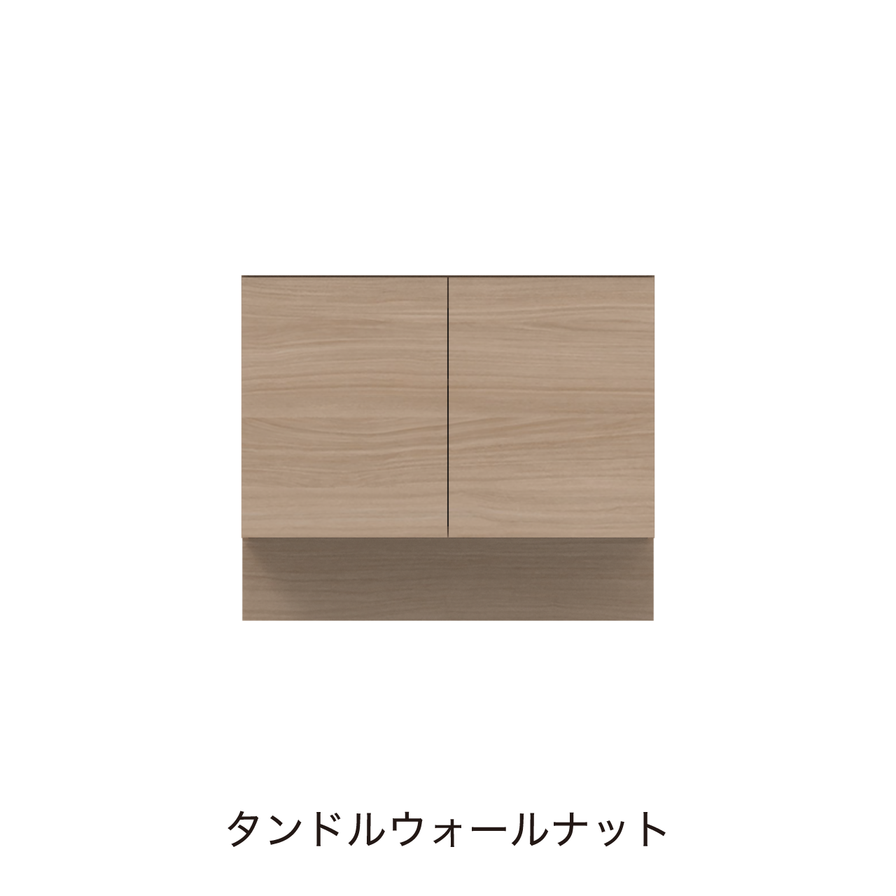 フロアタイプキャビネット 扉収納 洗面ボウルあり ボウル中央 幅100cm 奥行55cm カウンター高さ85cm 洗面台 洗面所収納 MA-QA1002