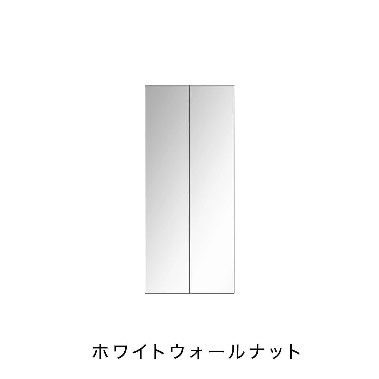 トールBOX ミラー扉タイプ ニッチ収納 埋込収納棚 幅75cm 高さ175cm MA-NT750EM