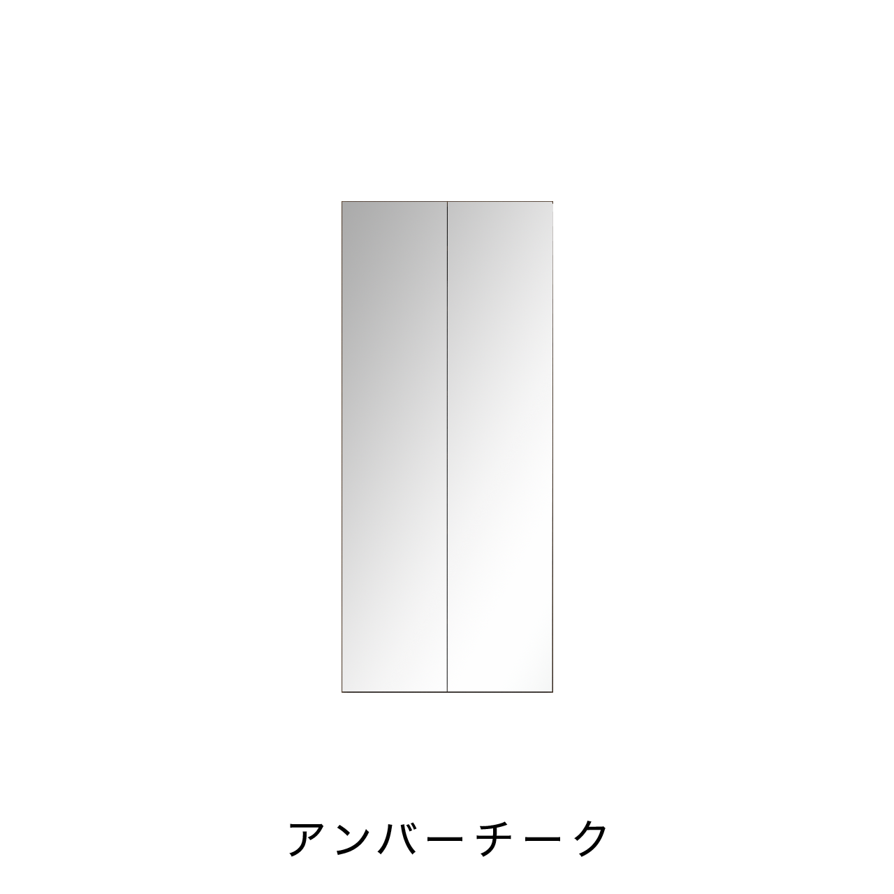 トールBOX ミラー扉タイプ ニッチ収納 埋込収納棚 幅75cm 高さ175cm MA-NT750EM