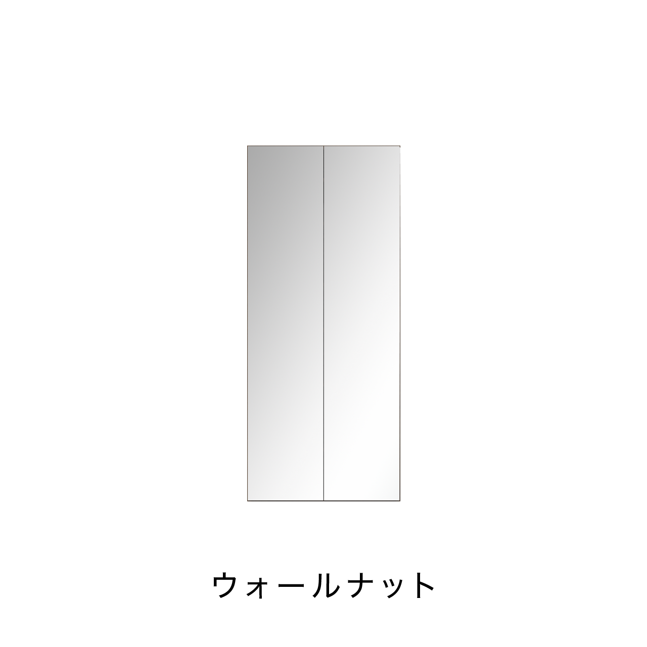 トールBOX ミラー扉タイプ ニッチ収納 埋込収納棚 幅75cm 高さ175cm MA-NT750EM