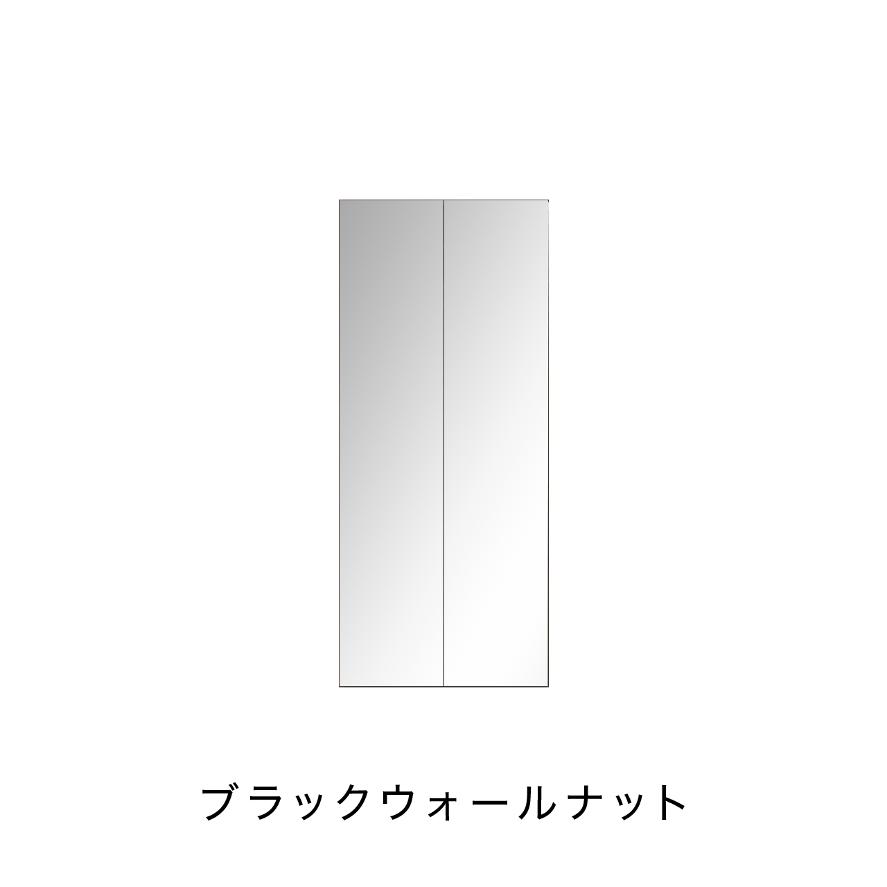 トールBOX ミラー扉タイプ ニッチ収納 埋込収納棚 幅75cm 高さ175cm MA-NT750EM