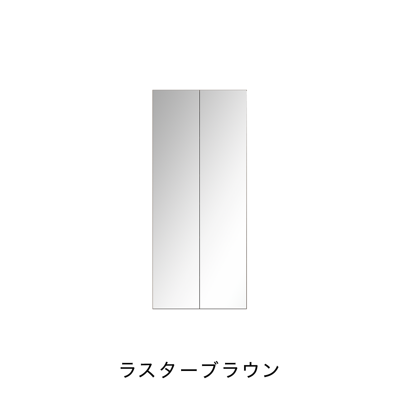 トールBOX ミラー扉タイプ ニッチ収納 埋込収納棚 幅75cm 高さ175cm MA-NT750EM