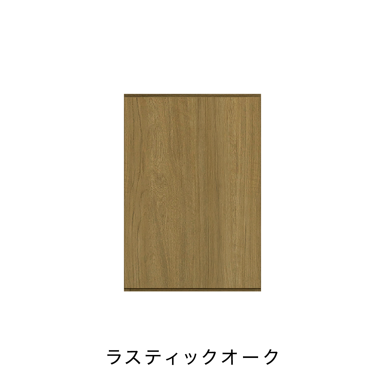 玄関収納 シューズボックス 靴箱 下駄箱 カウンターキャビネット 幅45.1cm 奥行39.9cm 高さ65cm MA-G46L