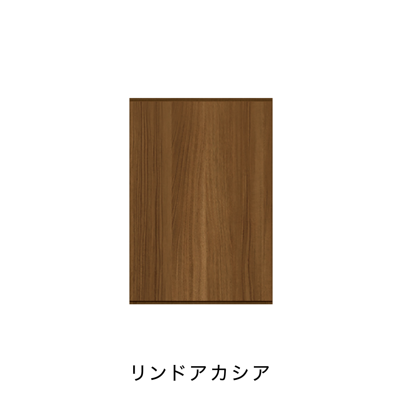 玄関収納 シューズボックス 靴箱 下駄箱 カウンターキャビネット 幅45.1cm 奥行39.9cm 高さ65cm MA-G46L