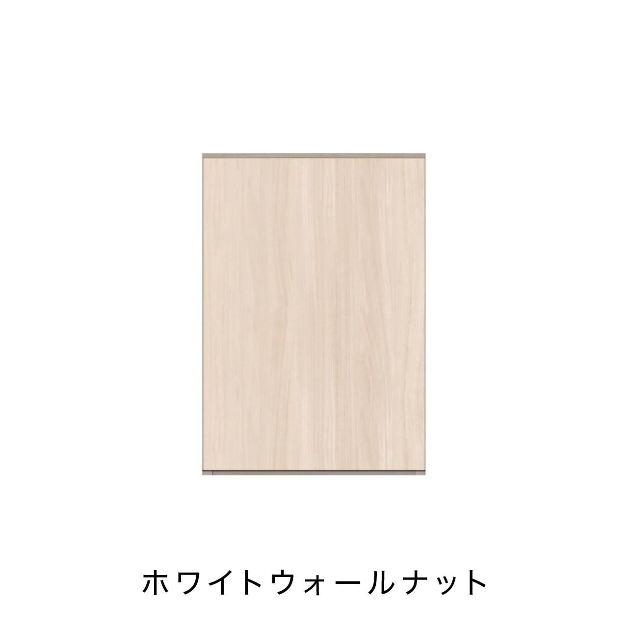 玄関収納 シューズボックス 靴箱 下駄箱 カウンターキャビネット 幅45.1cm 奥行39.9cm 高さ65cm MA-G46R