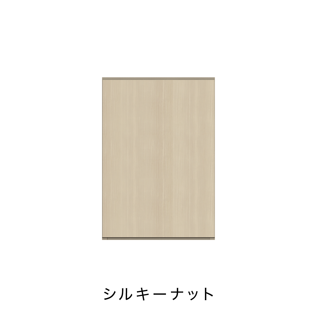 玄関収納 シューズボックス 靴箱 下駄箱 カウンターキャビネット 幅45.1cm 奥行39.9cm 高さ65cm MA-G46R