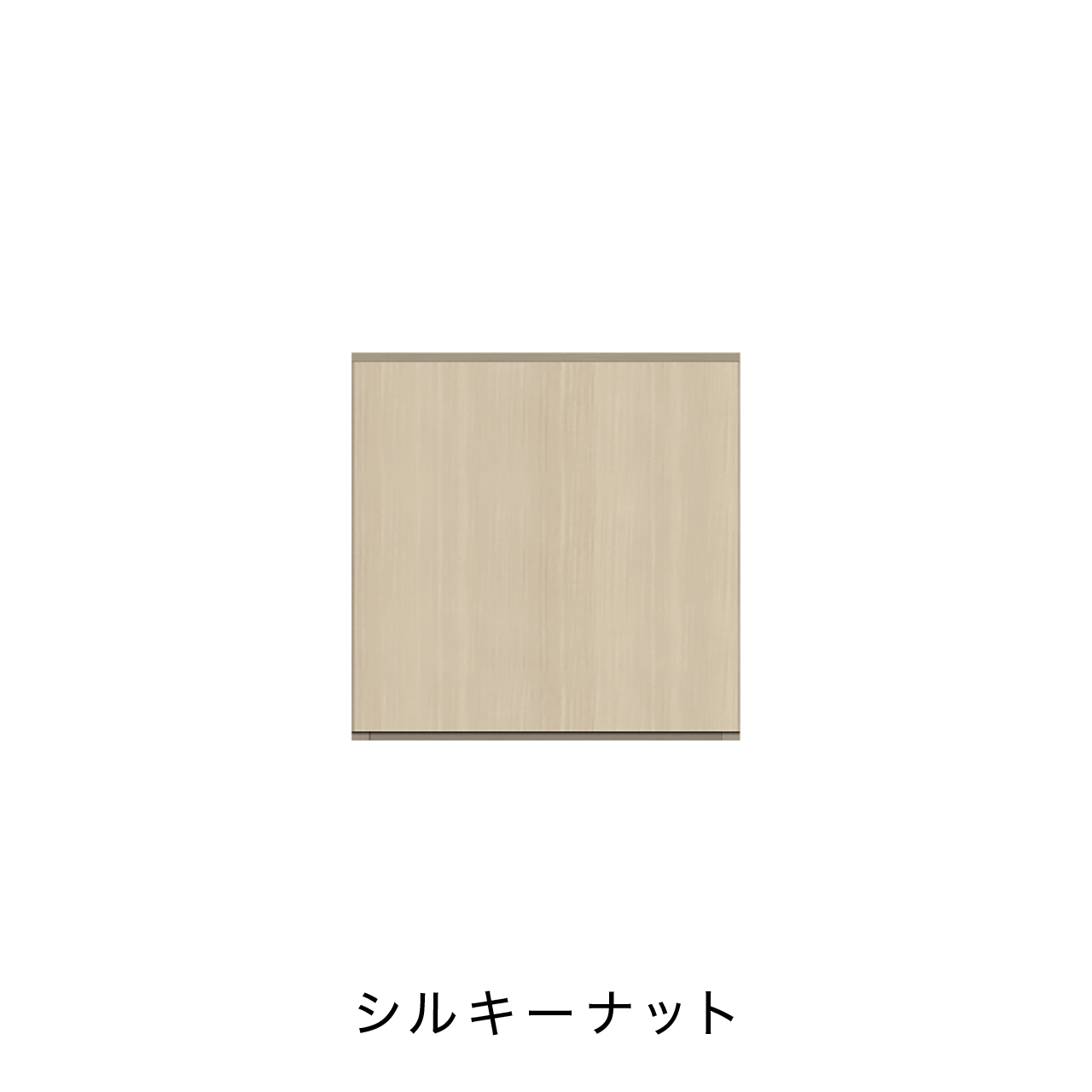 玄関収納 シューズボックス 靴箱 下駄箱 カウンターキャビネット 幅45.1cm 奥行39.9cm 高さ45cm MA-G48R