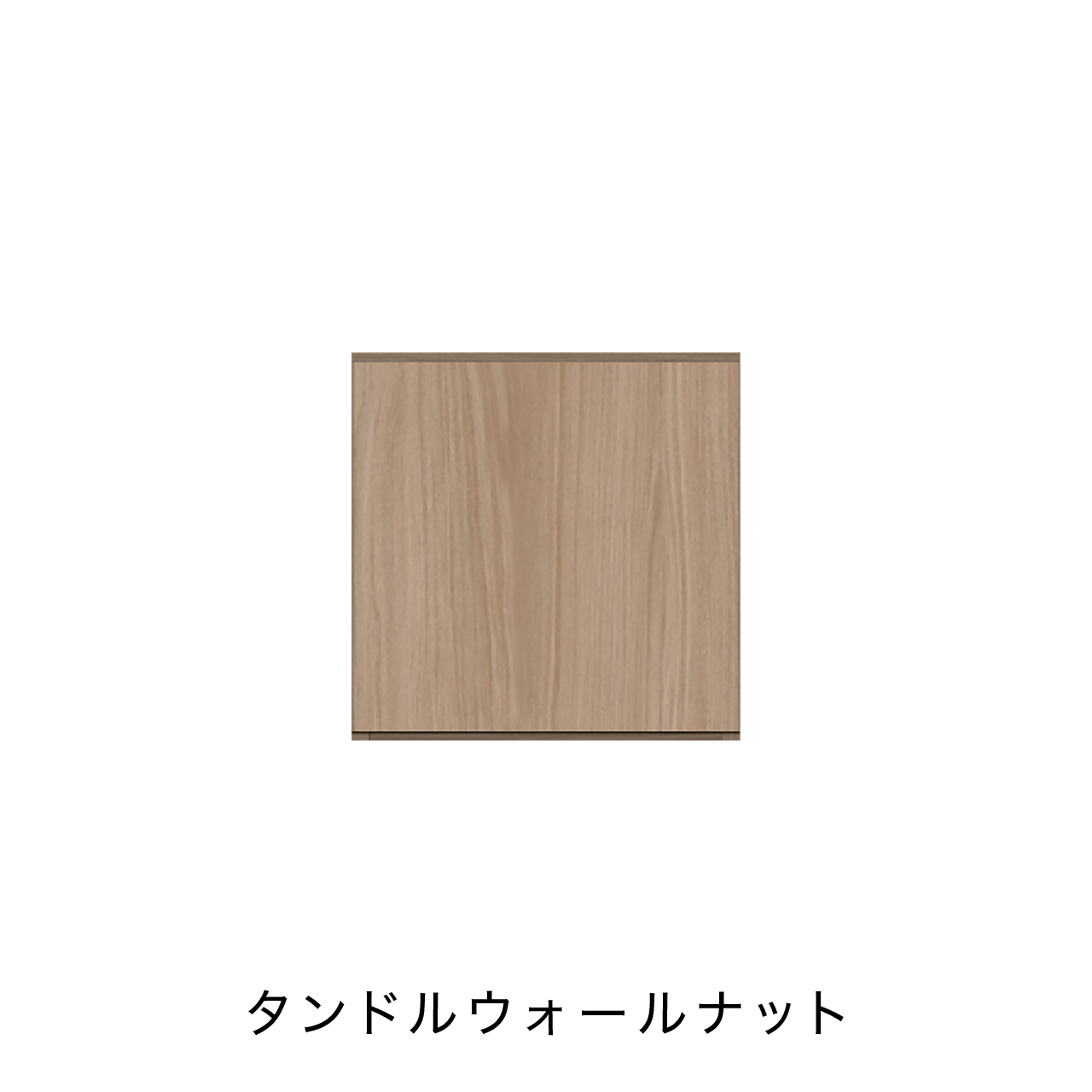 玄関収納 シューズボックス 靴箱 下駄箱 カウンターキャビネット 幅45.1cm 奥行39.9cm 高さ45cm MA-G48R