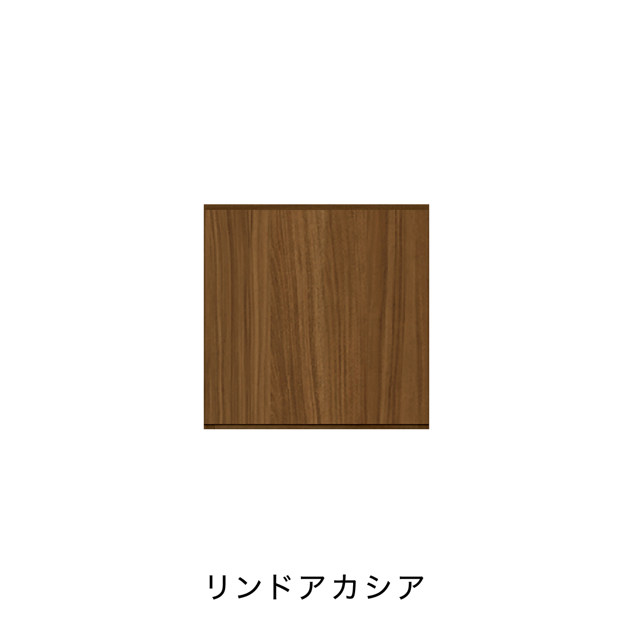 玄関収納 シューズボックス 靴箱 下駄箱 カウンターキャビネット 幅45.1cm 奥行39.9cm 高さ45cm MA-G48R