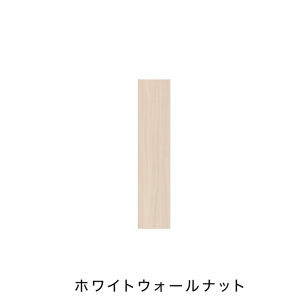 縦長キャビネット MA-S250ER