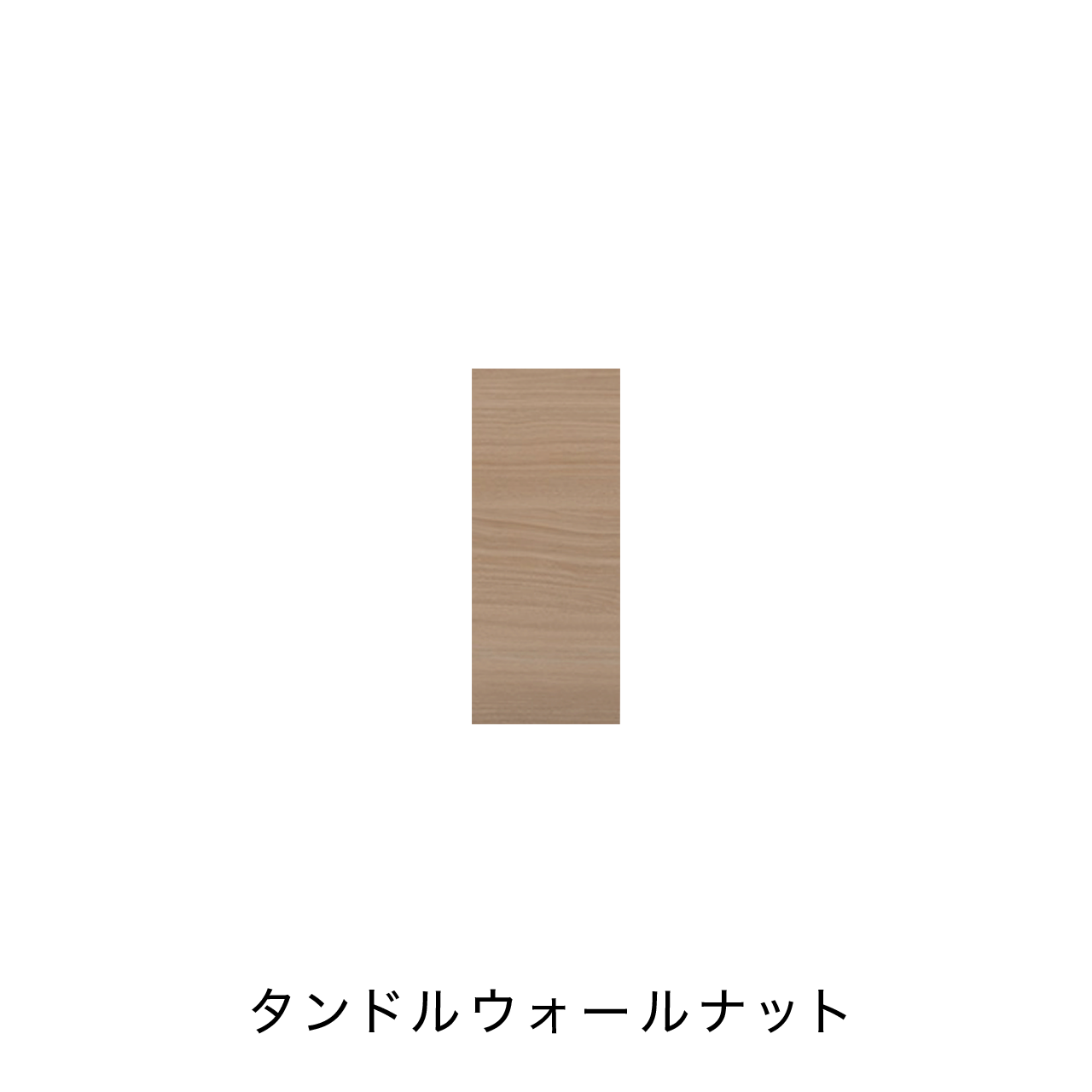 扉付きBOX 板扉タイプ ニッチ収納 埋込収納棚 幅25cm 高さ60cm MA