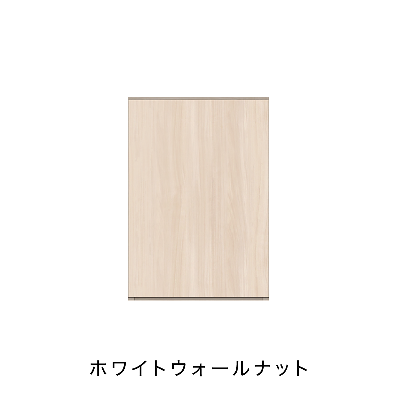 玄関収納 シューズボックス 靴箱 下駄箱 吊戸棚 幅45.1cm 奥行39.9cm 高さ65cm MA-G46UR