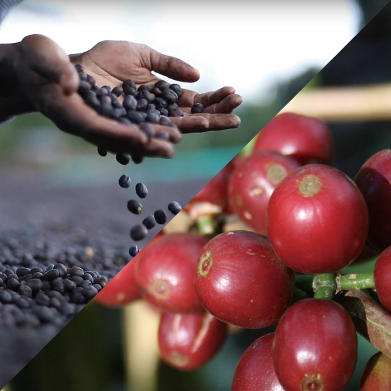 �������������ɥ��å�