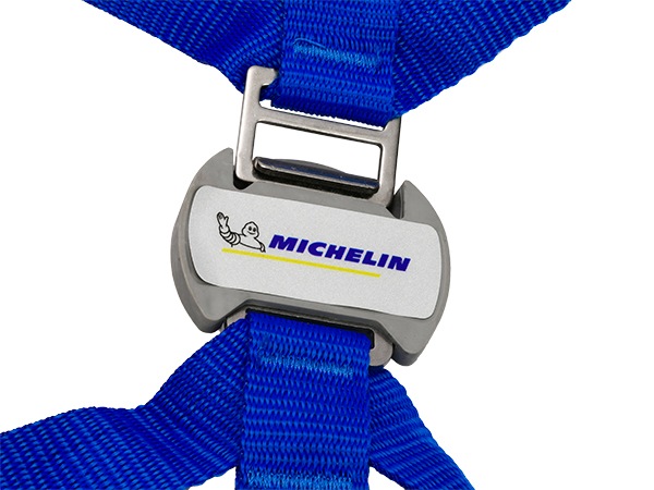 MICHELIN 正規品 スノーチェーン イージーグリップエボリューション 5