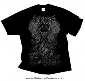 BEHEMOTH -�٥ҡ��⥹- PHOENIX RISING �֥ե��˥å������饤���󥰡� �ԥ����