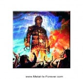 ڤ󤻾ʡIRON MAIDEN -󡦥ᥤǥ- THE WICKER MAN ֥åޥ ޥͥå