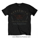 AEROSMITH -ߥ- BACK IN THE SADDLE ֥Хå󡦥ɥ ԥ