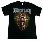 ں߸ڤ쾦ʡCRADLE OF FILTH -쥤ɥ롦֡ե륹- DEFLOWERING THE MAIDENHEAD, DISPLEASURING THE GODDESS  ԥ L