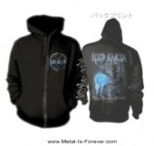 ICED EARTH -ɡ- 30TH ANNIVERSARY 30ǯ åסѡ