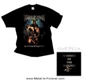 CRADLE OF FILTH -쥤ɥ롦֡ե륹- HAMMER OF THE WITCHES ֥ϥޡ֡å T
