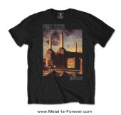 PINK FLOYD -�ԥ󥯡��ե�����- ANIMALS �֥��˥ޥ륺�� �ԥ����