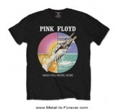 PINK FLOYD -�ԥ󥯡��ե�����- WISH YOU WERE HERE �ֱ�����ʤ��������ˤ��Ƥۤ����� �������롦�������� �ԥ����