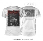 EMPEROR -����ڥ顼- RIDER 2019 �ֵ�ʼ��2019�� T����ġ����
